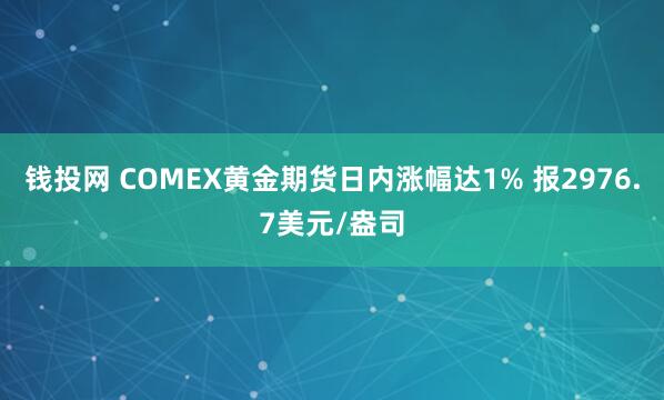 钱投网 COMEX黄金期货日内涨幅达1% 报2976.7美元/盎司